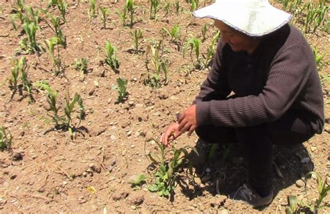 Ecuador enfrenta una crisis hídrica con racionamientos y monitoreos; ciudadanos y gobiernos deben colaborar urgentemente para mitigar los efectos y planificar la sostenibilidad futura.