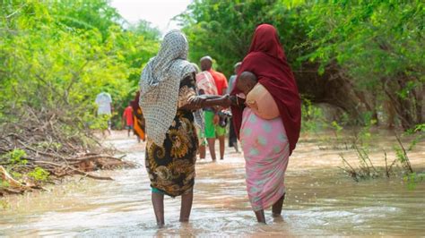 Las lluvias torrenciales están devastando África, con miles de desplazados y millones necesitados de ayuda urgente. La cooperación internacional es crucial para mitigar esta crisis humanitaria.