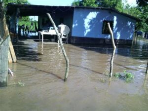 Campos de refugiados en Gaza se enfrentan a condiciones críticas tras inundaciones; miles de familias perjudicadas y urgencia en asistencia internacional.