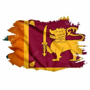 Descubre cómo las elecciones de Sri Lanka y la victoria de Sajith Premadasa podrían ofrecer lecciones valiosas para manejar crisis económicas y mejorar la transparencia gubernamental.