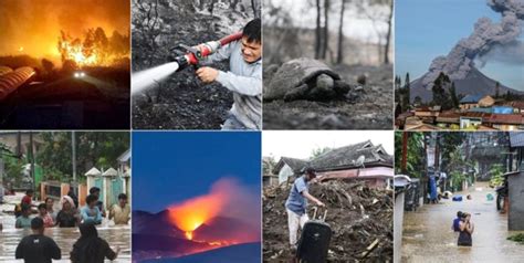 El huracán Milton deja a miles sin electricidad; autoridades declaran estado de emergencia para acelerar la recuperación en Florida.