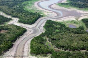 La sequía en el Amazonas brasileño afecta transporte, producción agrícola y biodiversidad, poniendo en riesgo la seguridad alimentaria y económica de las comunidades locales.