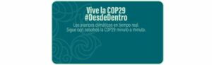 COP29 en Brasil: oportunidad crucial para abordar el cambio climático, proteger la Amazonía y fomentar el liderazgo global en sostenibilidad ambiental.