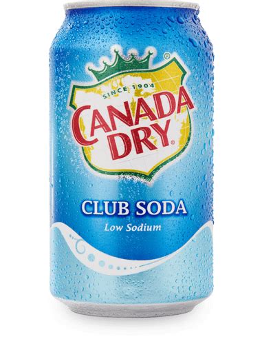 Las diferencias en el etiquetado de Canada Dry resaltan la importancia de cumplir con normativas publicitarias específicas de cada país para evitar problemas legales.