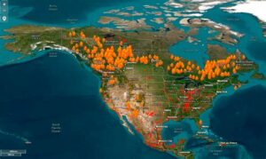 Canadá enfrenta aumento alarmante de incendios forestales: más de 5,000 en un año, afectando millones de hectáreas y comunidades. Colaboración internacional es clave para enfrentarlo.