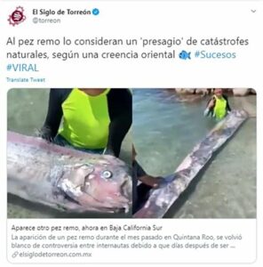 El pez remo, símbolo de superstición y misterio, aparece en California, desatando especulaciones sobre desastres naturales mientras fascina a científicos y supersticiosos.