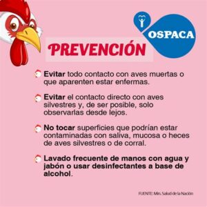 Las autoridades vigilan de cerca un caso aislado de gripe aviar en California para evitar un brote, enfocándose en prevención y protocolos de bioseguridad.