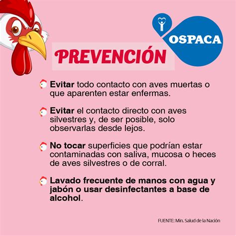 Las autoridades vigilan de cerca un caso aislado de gripe aviar en California para evitar un brote, enfocándose en prevención y protocolos de bioseguridad.